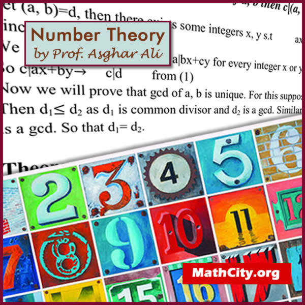 Number Theory by M Asghar Ali