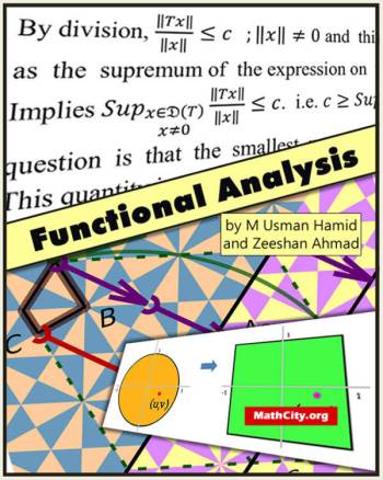 functional-analysis-m-usman-hamid-and-zeeshan-ahmad.jpg